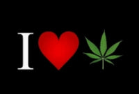 Love Cannabis?