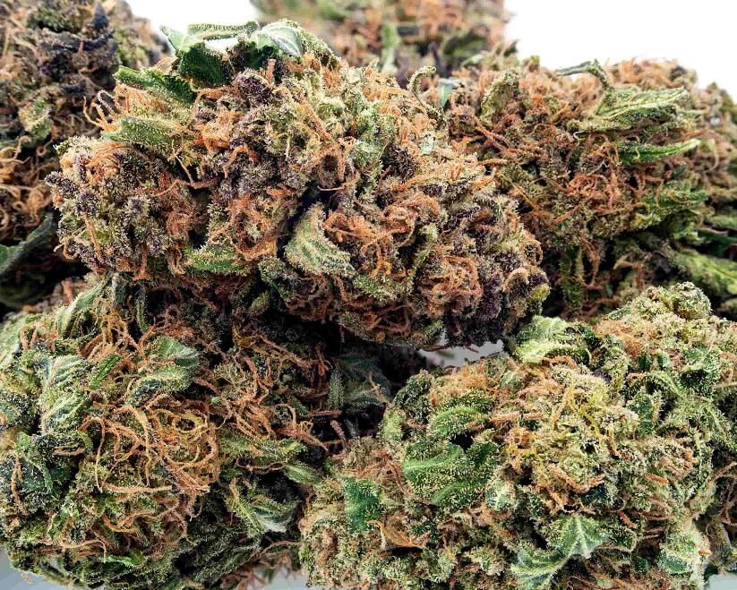 7 Gram Broad Spectrum Cannabis Flower 12 Strains